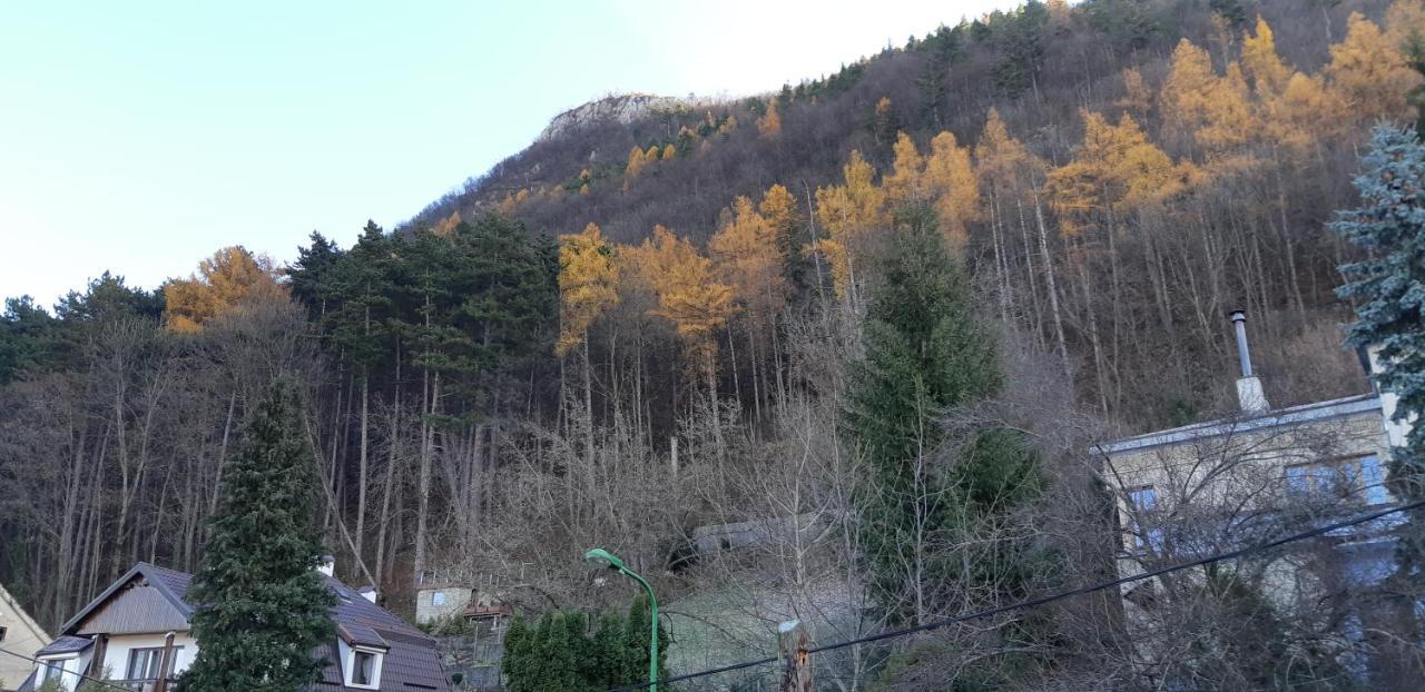 Appartamento Brasov Valley Esterno foto
